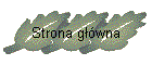 Strona gł�wna