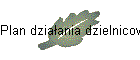 Plan dzia�ania dzielnicowego Policji